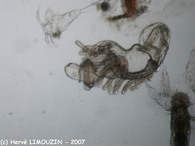DSCN6297