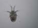 zoo_5631